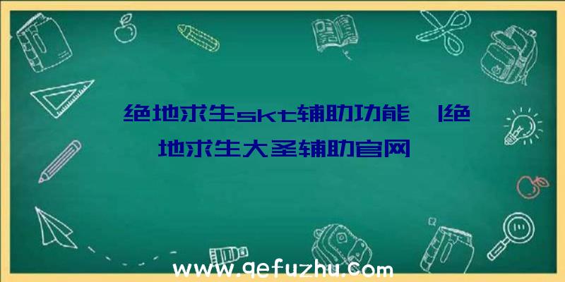 「绝地求生skt辅助功能」|绝地求生大圣辅助官网